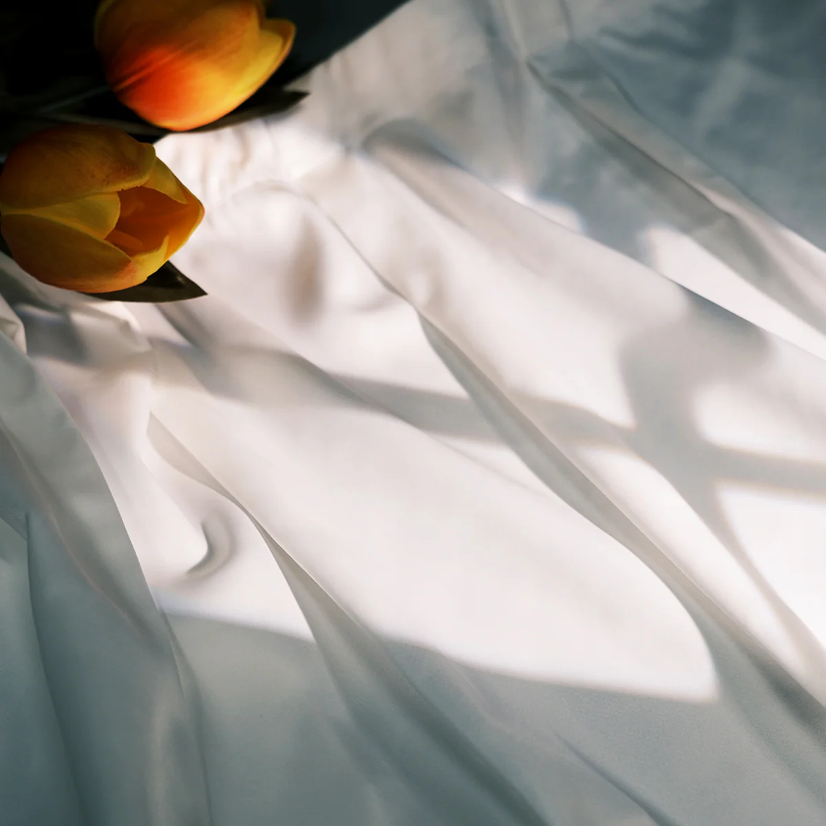 Side Window Sunshade Curtain for Tesla Model 3/Y - Image 3